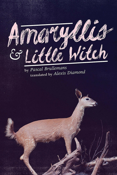 Amaryllis &amp; Little Witch