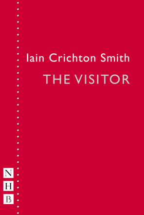 The Visitor