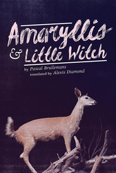 Amaryllis &amp; Little Witch