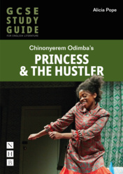 Princess &amp; The Hustler: The GCSE Study Guide