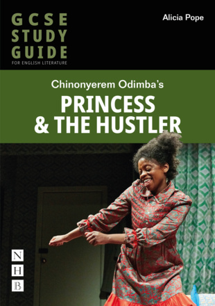 Princess &amp; The Hustler: The GCSE Study Guide