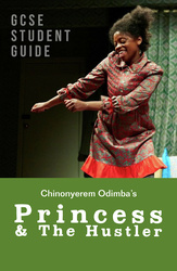 Princess &amp; The Hustler: The GCSE Study Guide